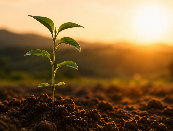 <h2>goodness that's kind to you and <em>the planet</em></h2><p>At TruGoodness, every bite is crafted with ingredients that care for both your health and the environment.</p><p>By choosing TruGoodness, you're not just snacking smart - you're making a choice that supports sustainable farming, reduces impact on the planet, and fuels a better future.</p>